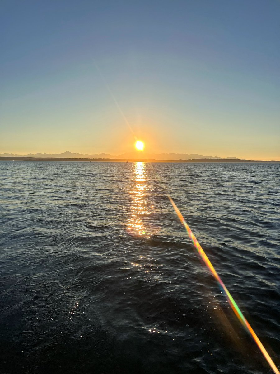 jordy_tropp's tweet photo. Seattle Sailing Sunday… https://t.co/AiPwHL9Owf