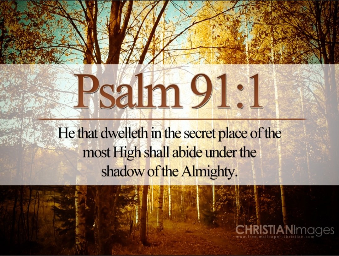 He who dwells in the shelter of the Most High will abide in the shadow of the Almighty. Psalm 91:1