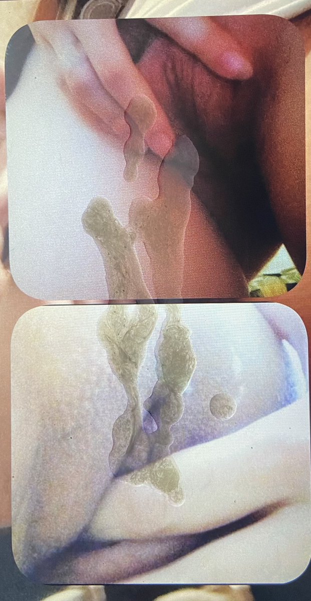 lewdtributes's tweet photo. @luvluvs_1 took my whole load once again 🤤💦 #cumtribute #cumshot #cum https://t.co/35d16rXtnb