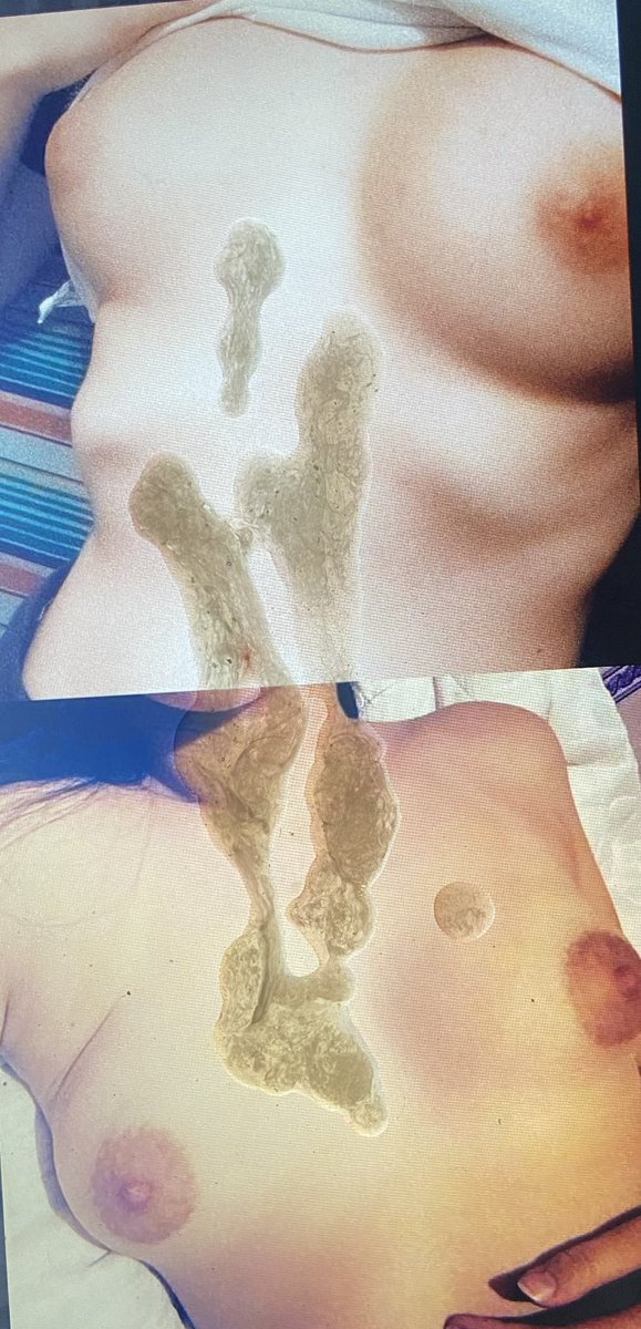 lewdtributes's tweet photo. @luvluvs_1 took my whole load once again 🤤💦 #cumtribute #cumshot #cum https://t.co/35d16rXtnb