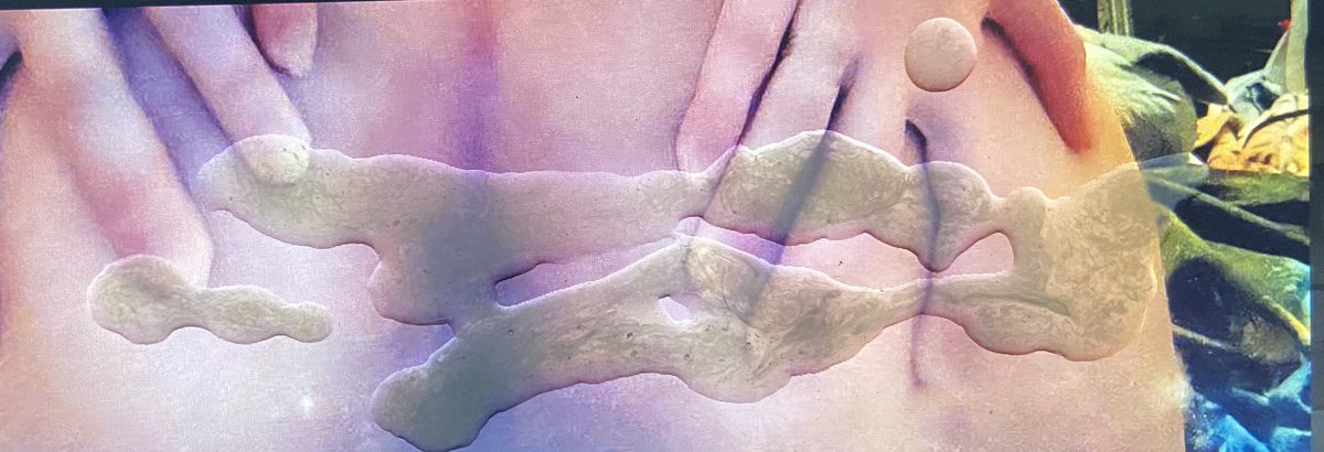 lewdtributes's tweet photo. @luvluvs_1 took my whole load once again 🤤💦 #cumtribute #cumshot #cum https://t.co/35d16rXtnb
