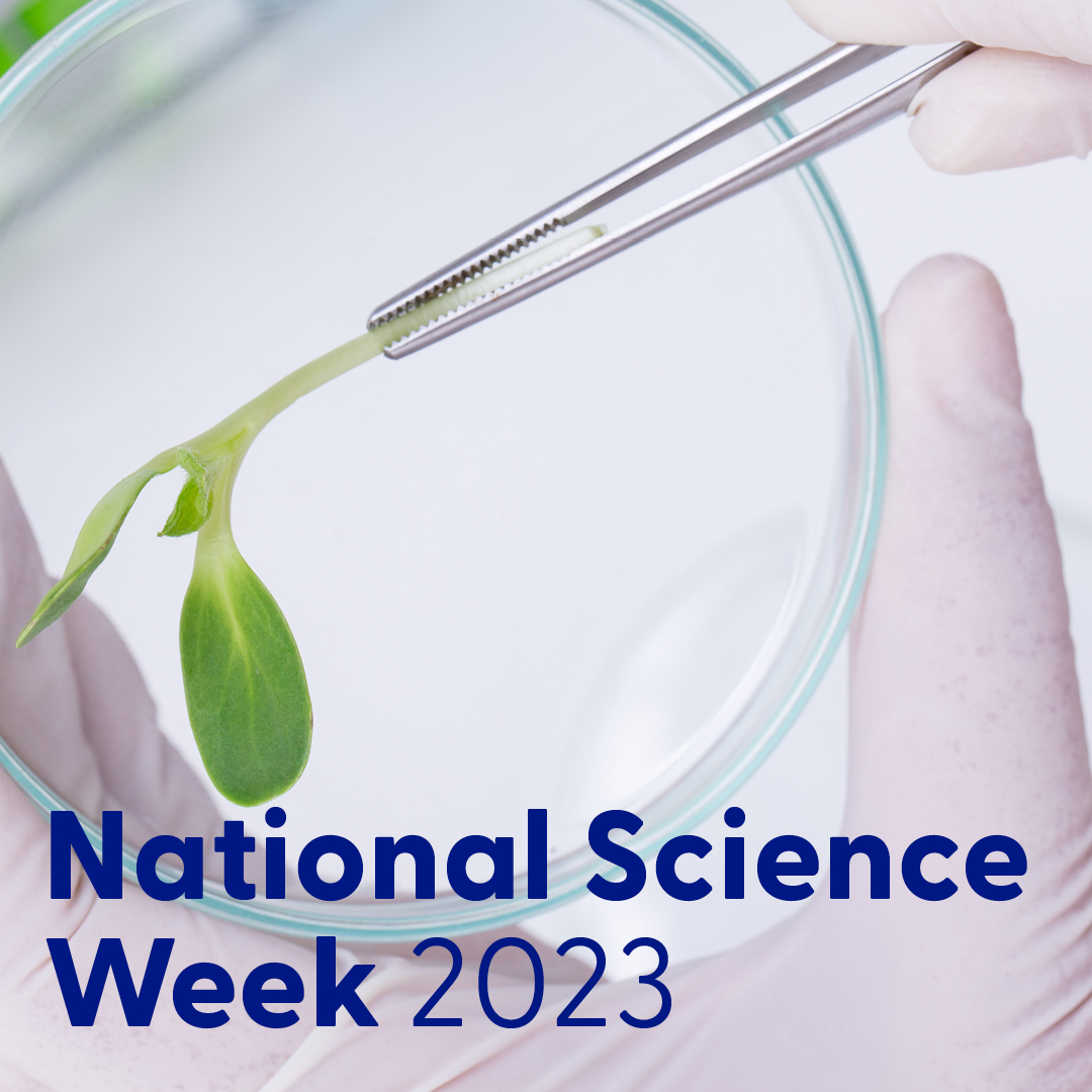 Utilitarian.World tweet media