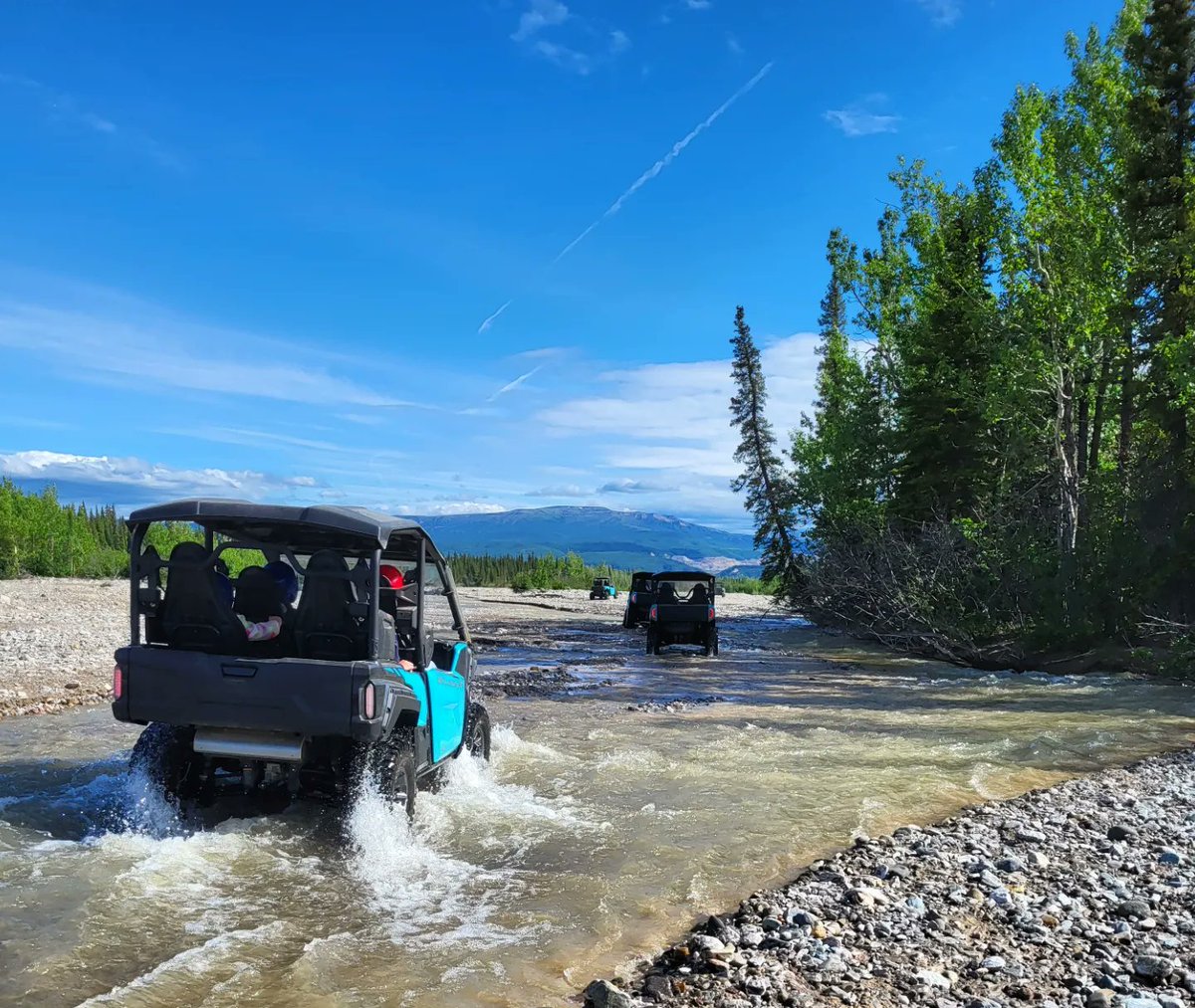 April | Minivan Adventures tweet media