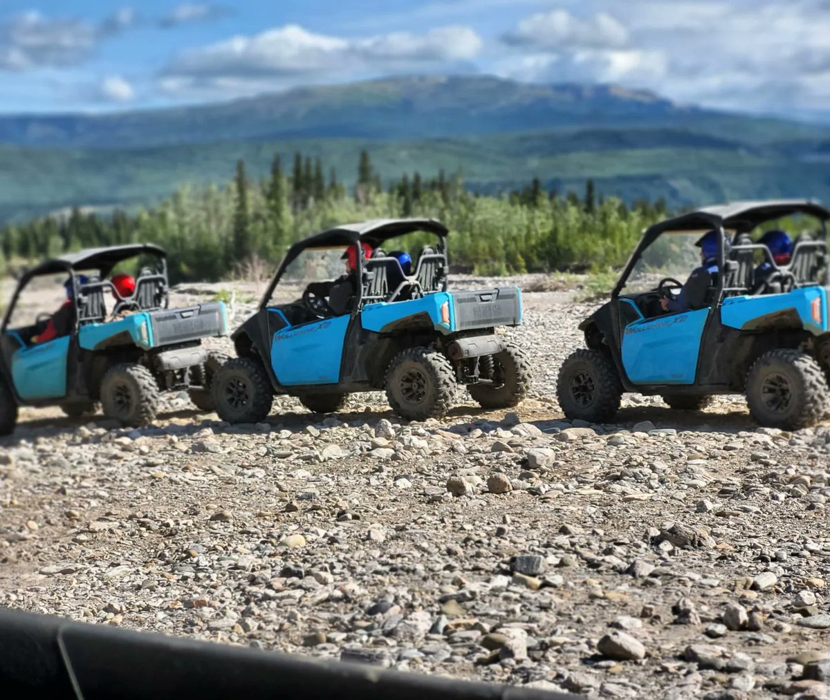 April | Minivan Adventures tweet media