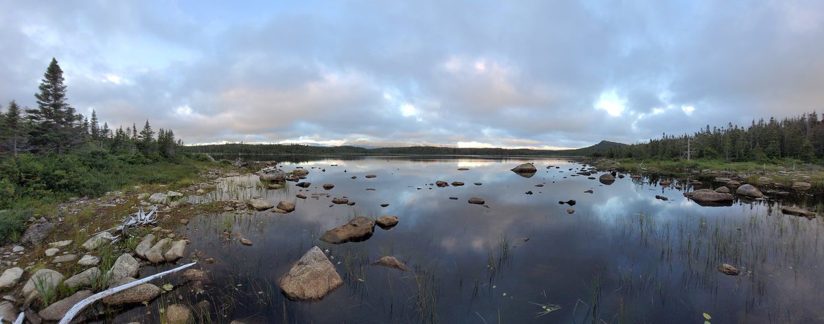 Frank Humber tweet media