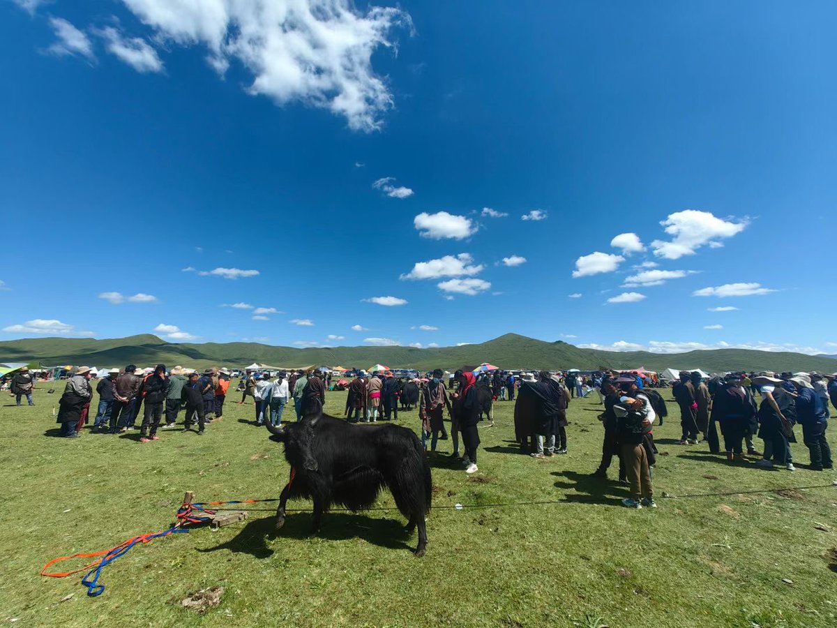 yjw284059898's tweet photo. 我们的家园。#Tibet #阿坝 https://t.co/mQ9yxPlcUF