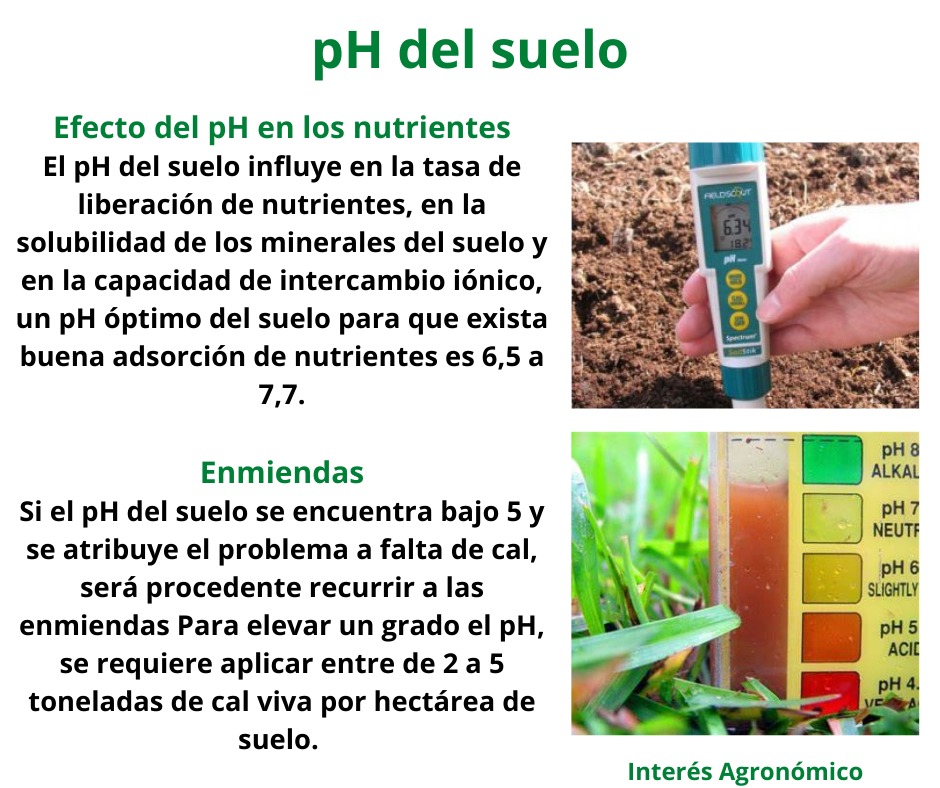 pH del suelo y si importancia en la práctica de la agricultura 🚜 👨‍🌾🌱

Más contenido de información agronómica ⬇️⬇️⬇️

youtube.com/@interesagrono…