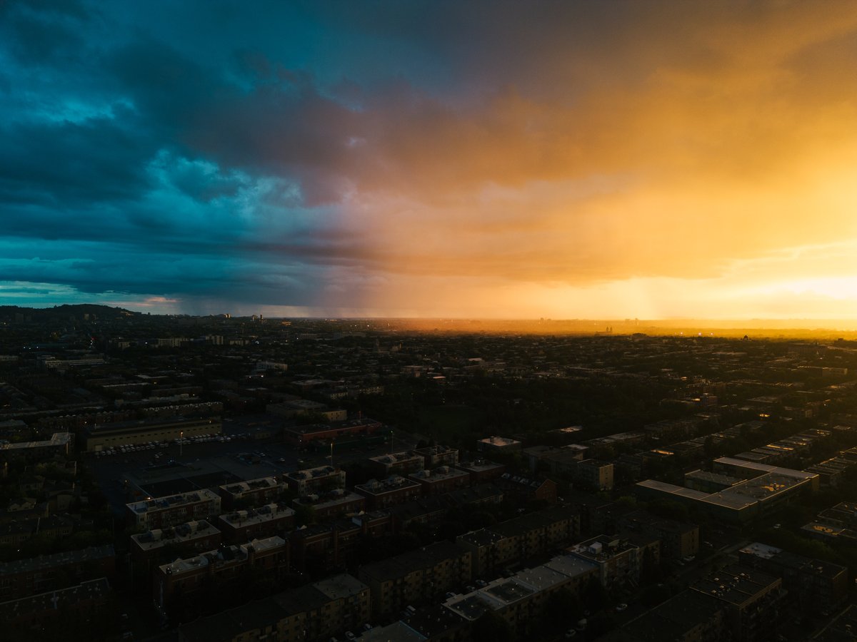 Martin Reisch tweet media
