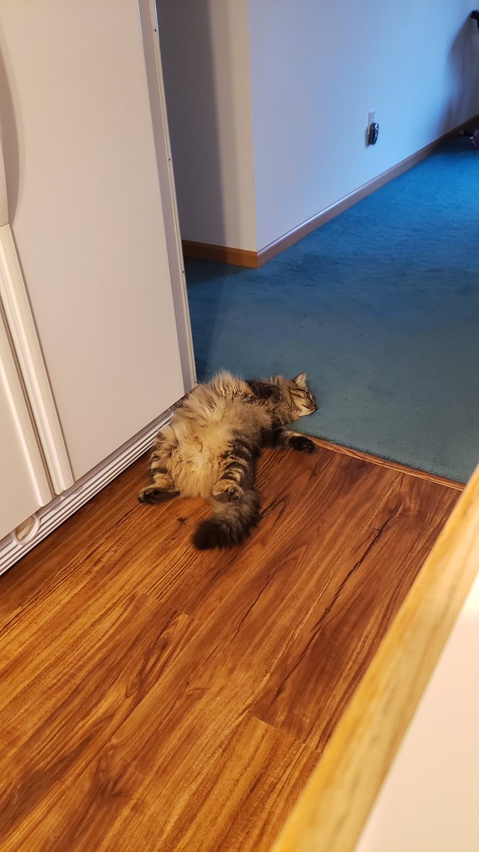 James Guagliardo tweet media