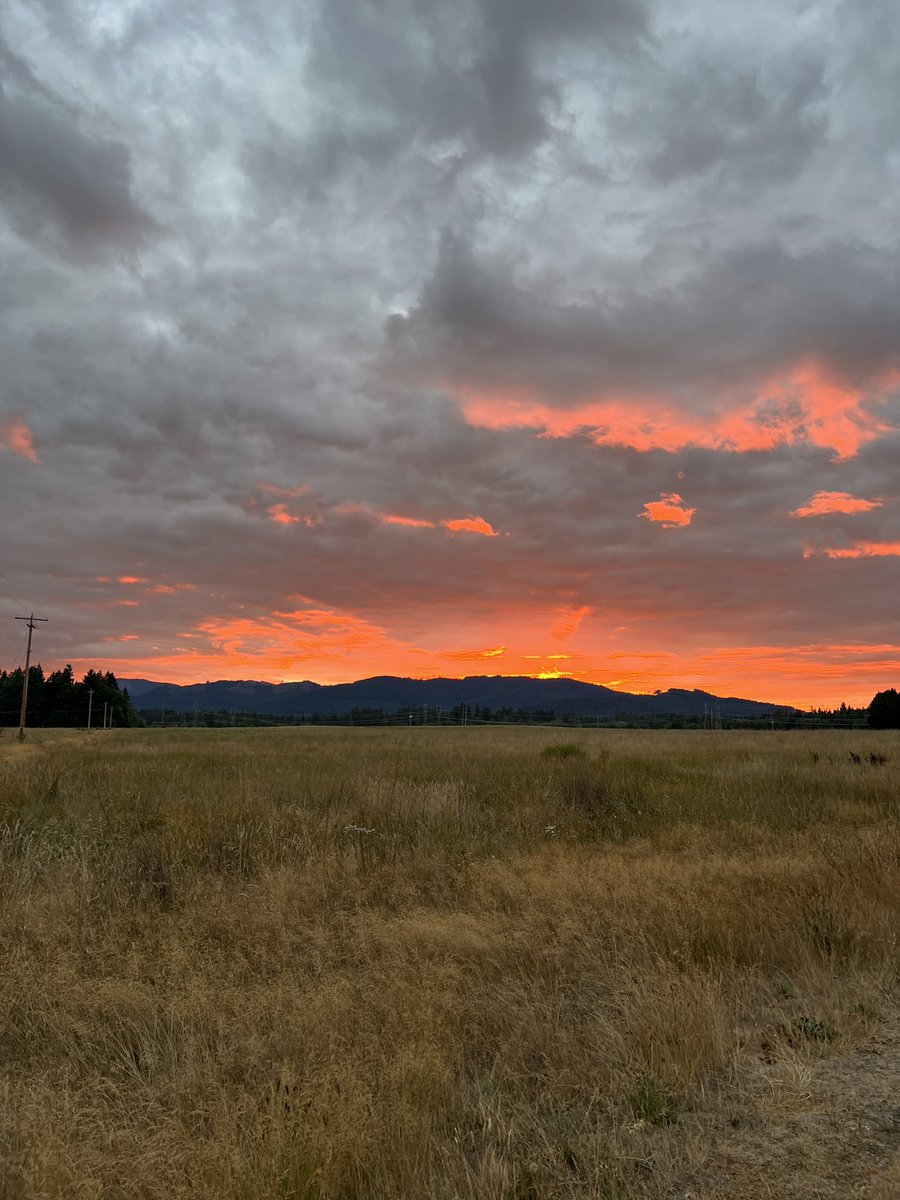 7Tylermurphy's tweet image. My life is brilliant.