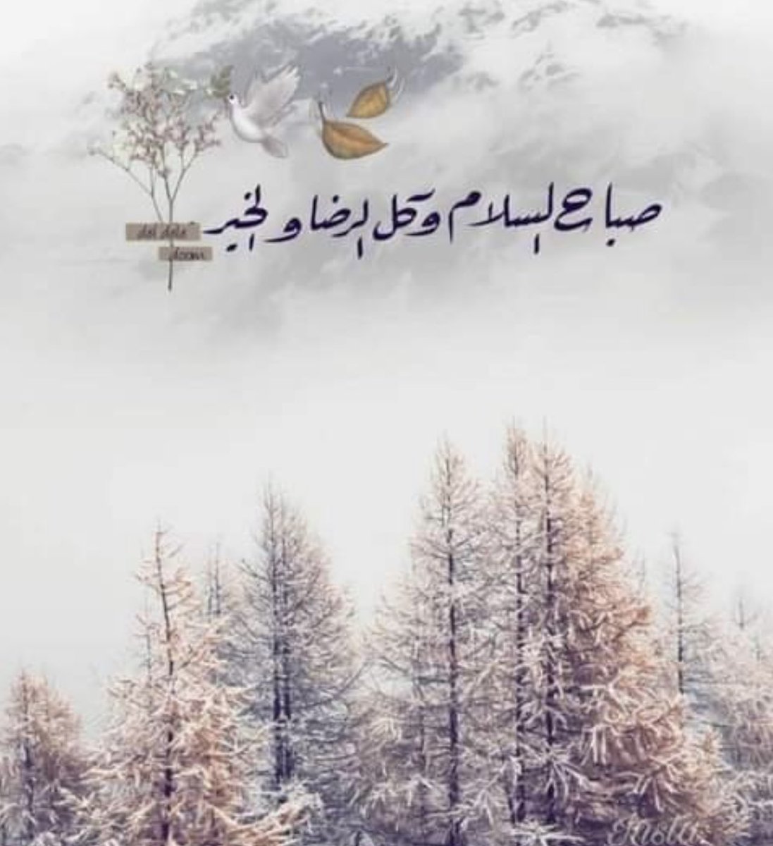soooo2277's tweet photo. #صباح_الخير_والسعاده_للجميع  .. /

 مُنّ علينا ياربّ بأيام محفوفة بالرضا🤍💕 https://t.co/FKZ0T0LuPw