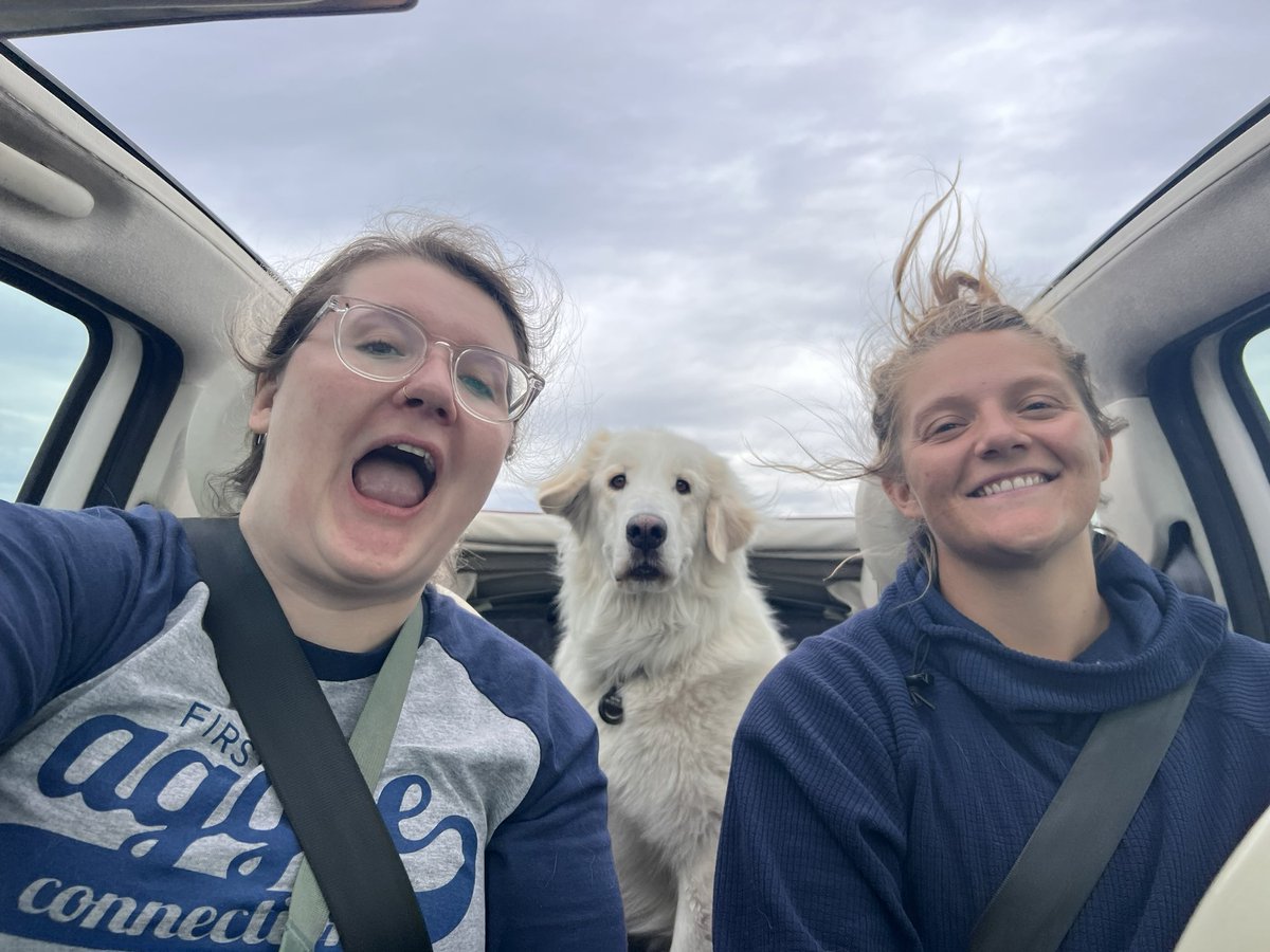 alpine now has the biggest of windows...