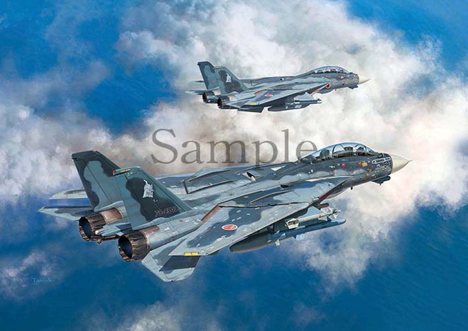 「飛行機 ジェット戦闘機」のTwitter画像/イラスト(新着)｜5ページ目