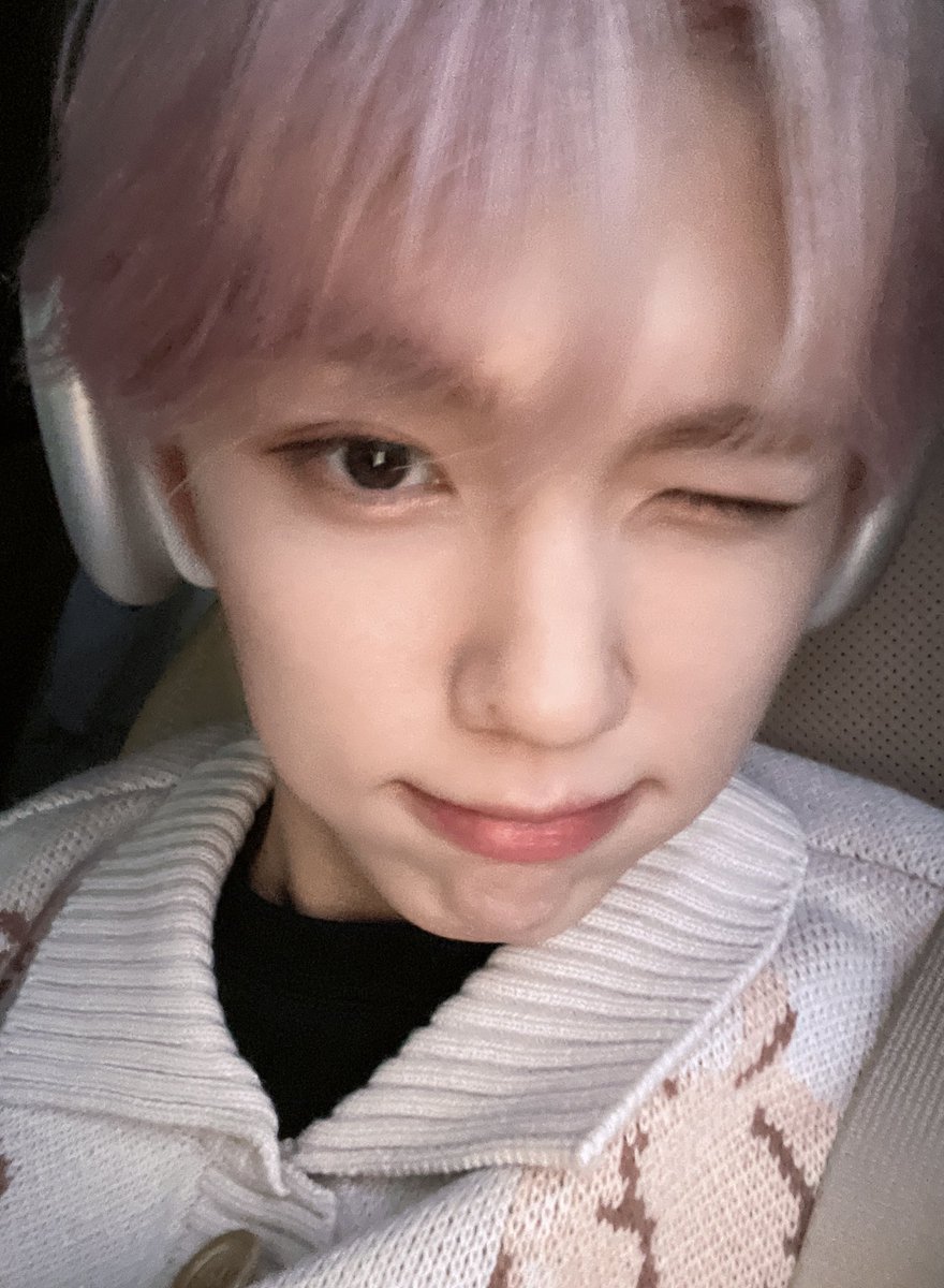 congkitty's tweet photo. 추구미 .. 🐈 https://t.co/jT52jjscyl
