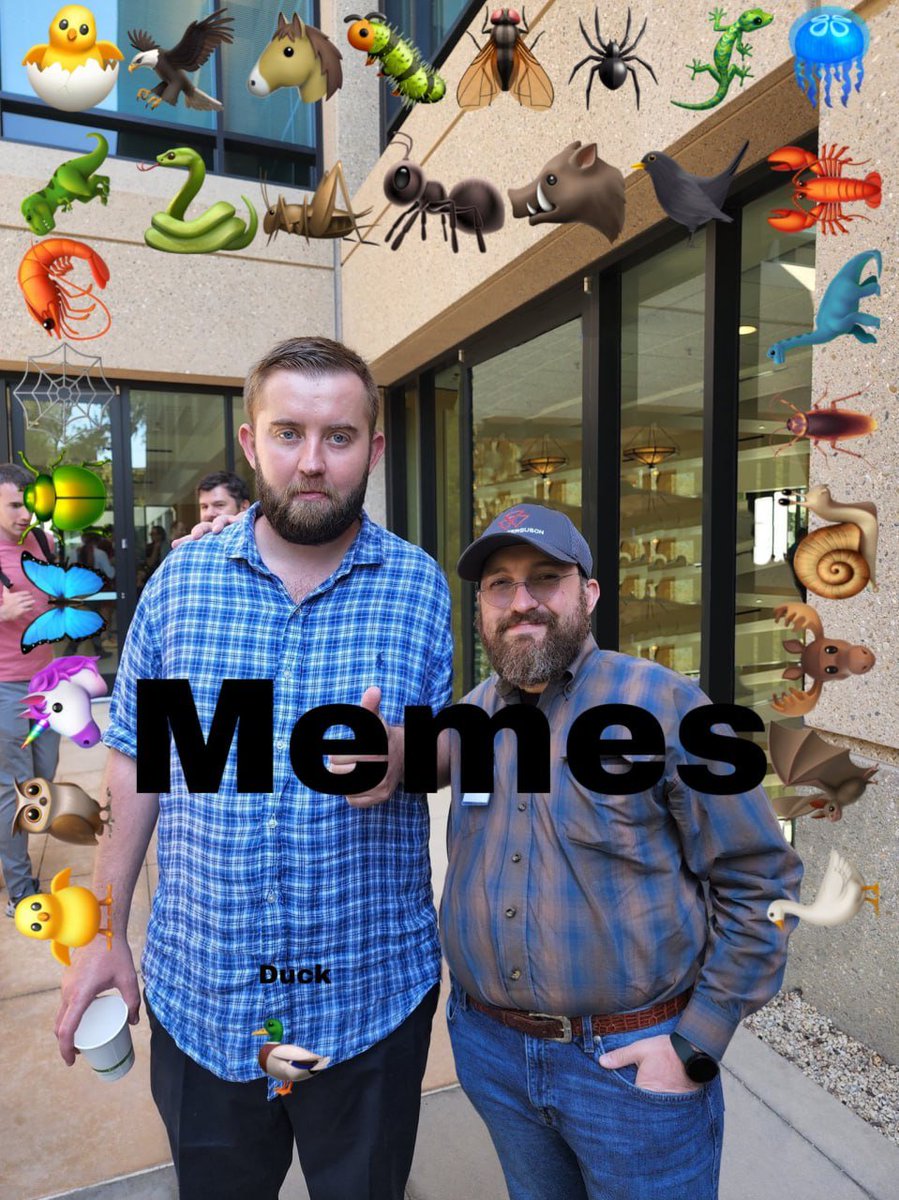 $memes #memes