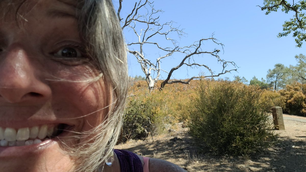 FlowervineMom's tweet photo. Triple digit heat run today on Mt. Diablo. Whew. Crazy?  Maybe. 🤪🤔🤔
.
.
#trailrunning #California #mtdiablo #run #trailworld https://t.co/p9Pzh9CeWH