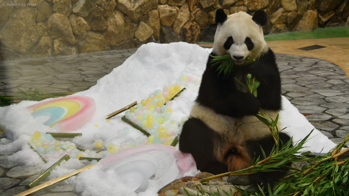 ★彩浜５歳誕生日記念グッズ【８点セット】★ オンライン誕生会「みんなで彩浜（さいひん）5歳の誕生日をお祝い