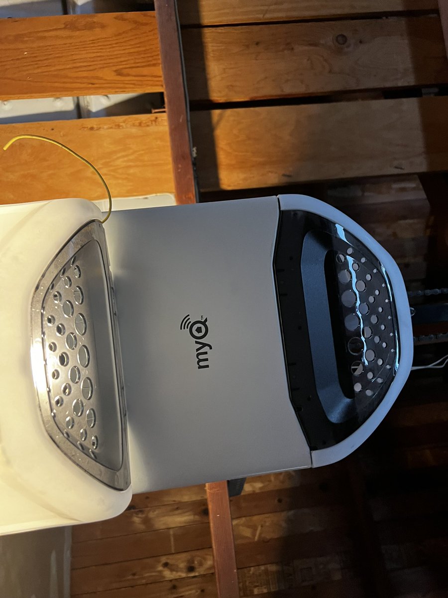 thatryan tweet media