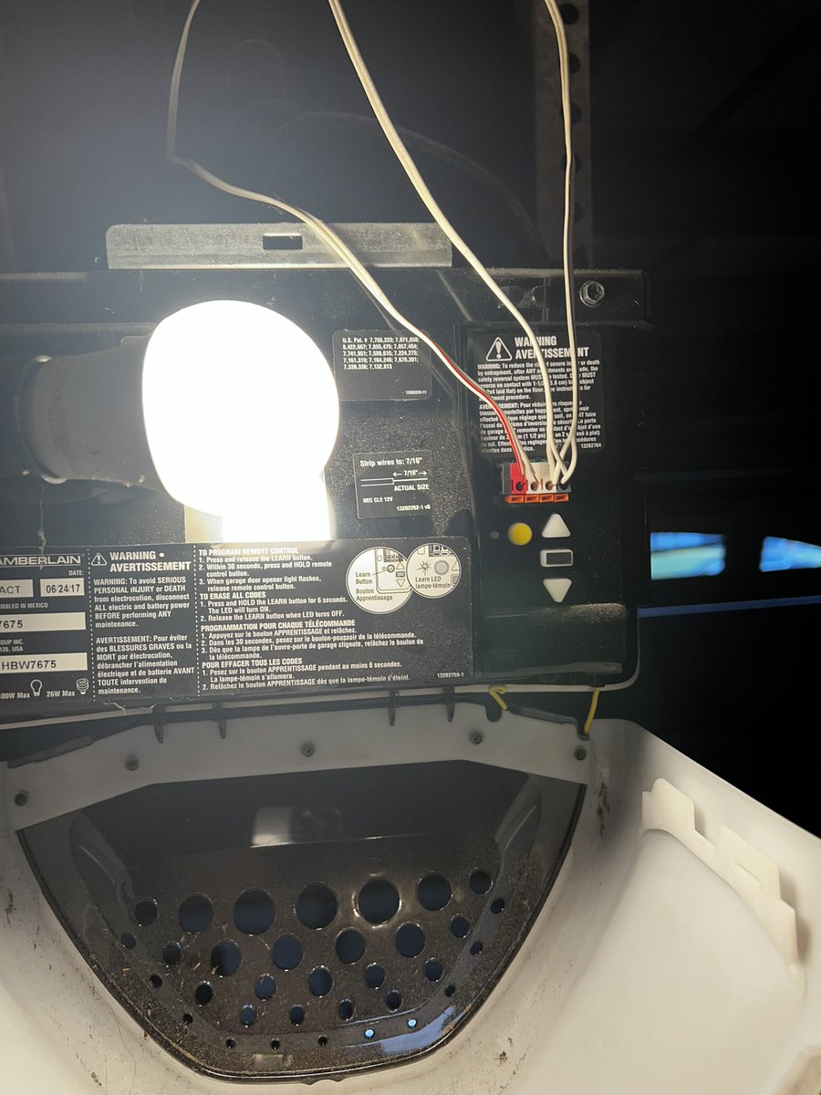 thatryan tweet media