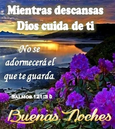 Maribel Ruiz (@maribel69138371) on Twitter photo 