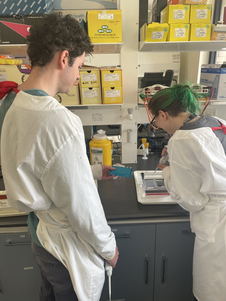 PetrovskiLab's tweet photo. Happy National #scienceweek!! ๐งฌ๐๐งซ๐ฌ๐งช
Check out our new volunteers Tim and Caroline loading their first gel! Fingers crossed for bands ๐ค๐ฝ
#getlearnt #bandsacrosstheboard https://t.co/eNXrv0mex3
