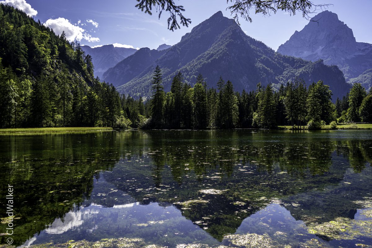 walkercloud13's tweet photo. GM 🤗 have a nice day ☀️ Schiederweiher lake view 🩵💚 Ostrawitz and Spitzmauer mountains #landscape #naturphotography #Schiederweiher #Ostrawitz #Spitzmauer #Hinterstoder #Oberösterreich #Austria #SonyAlpha 🩵💚 https://t.co/q1iAoEt1jy