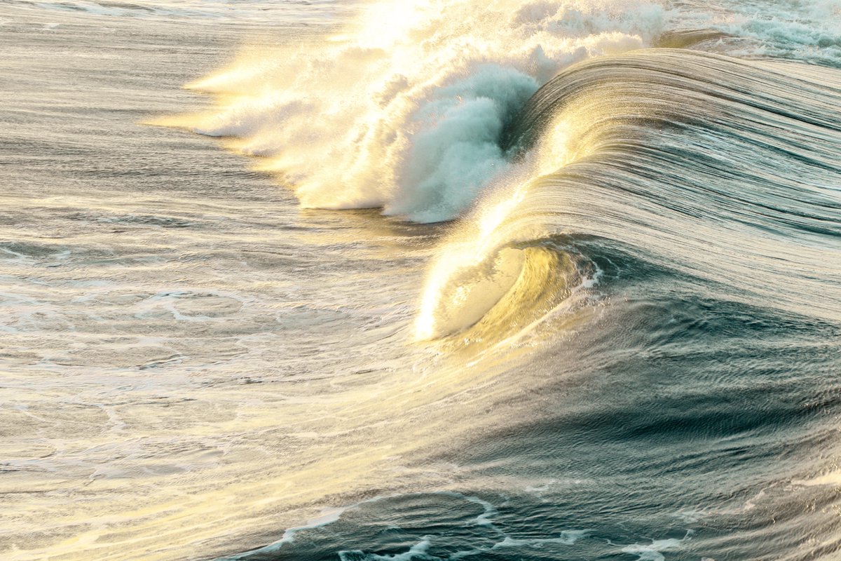 BethFratesMD's tweet photo. "You must live in the present, launch yourself on every wave, find your eternity in each moment." Henry David Thoreau

#MondayMorning #MondayMotivation #SuccessTrain #Mindfulness #MindBody #InnerPeace #LifeCoach #HealthCoach https://t.co/RJta0GpUva