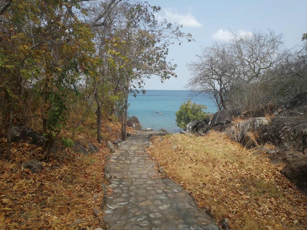 nkwichi's tweet photo. Welcome #August 💜  

https://t.co/2uXwiwVGJw or simply Whatsapp +258 847400193 for more info 

#Nkwichi #LakeMalawi #LagoNiassa #Mozambique #Malawi #Paradise #Lostparadise #beach #August2023 #remoteplaces #honeymoon #weddings #WeddingPlanner https://t.co/rgaTuhW63m