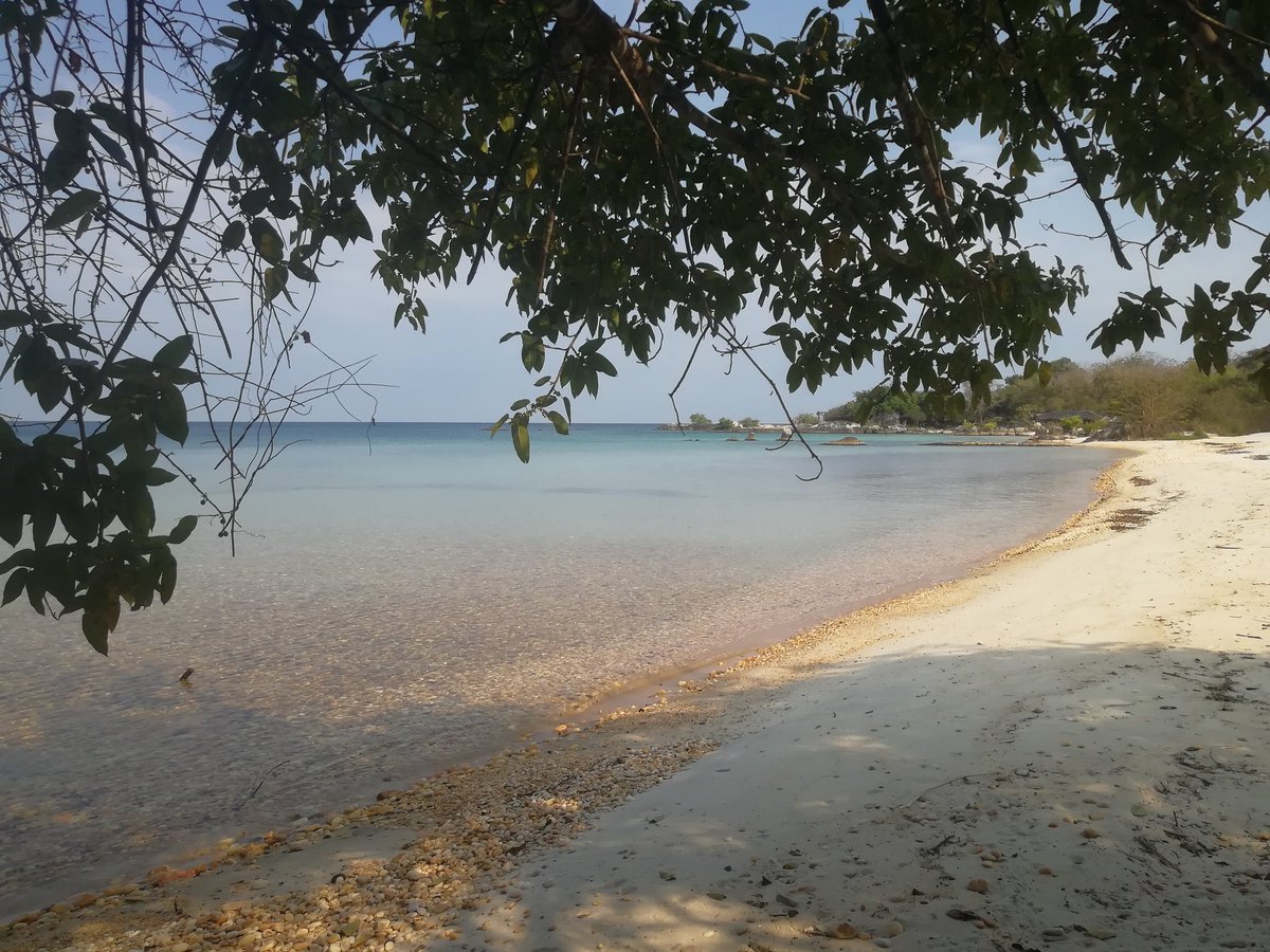 nkwichi's tweet photo. Welcome #August 💜  

https://t.co/2uXwiwVGJw or simply Whatsapp +258 847400193 for more info 

#Nkwichi #LakeMalawi #LagoNiassa #Mozambique #Malawi #Paradise #Lostparadise #beach #August2023 #remoteplaces #honeymoon #weddings #WeddingPlanner https://t.co/rgaTuhW63m