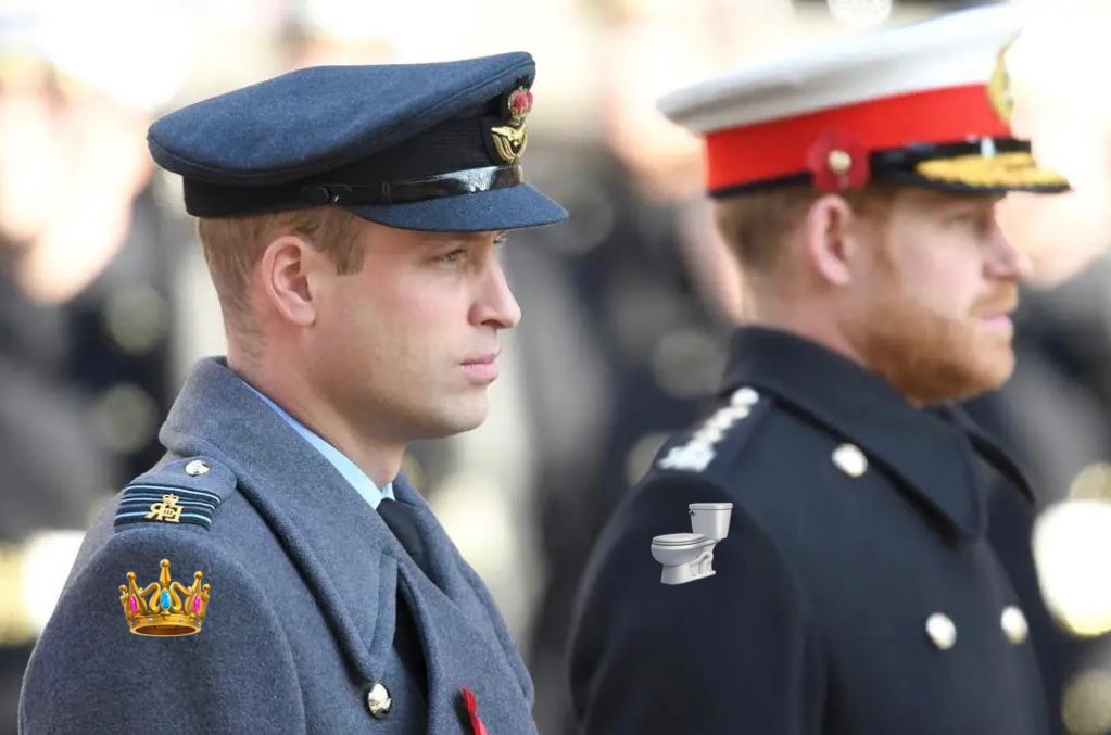 LairdOfTheManor's tweet image. One Prince 👑 is acutely aware of his privileged position &amp;amp; remains humble with a heart of service. 
The other Prince 🚽weaponises his birth status &amp;amp; whines that privileges are his due while serving no one but himself. 

"The true measure of a man is not in what he says, but in…