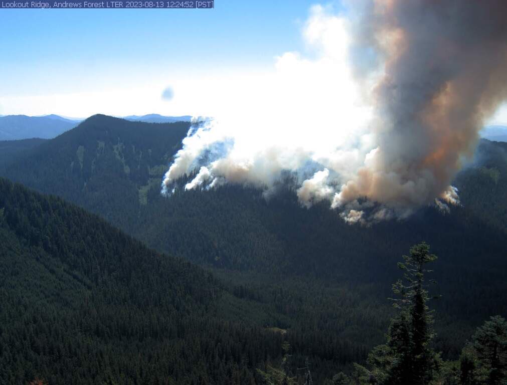 Latest update on the #lookoutfire from the Andrews Forest. 

andrewsforest.oregonstate.edu/about/news-eve…

<a href="/USLTER/">US LTER</a>