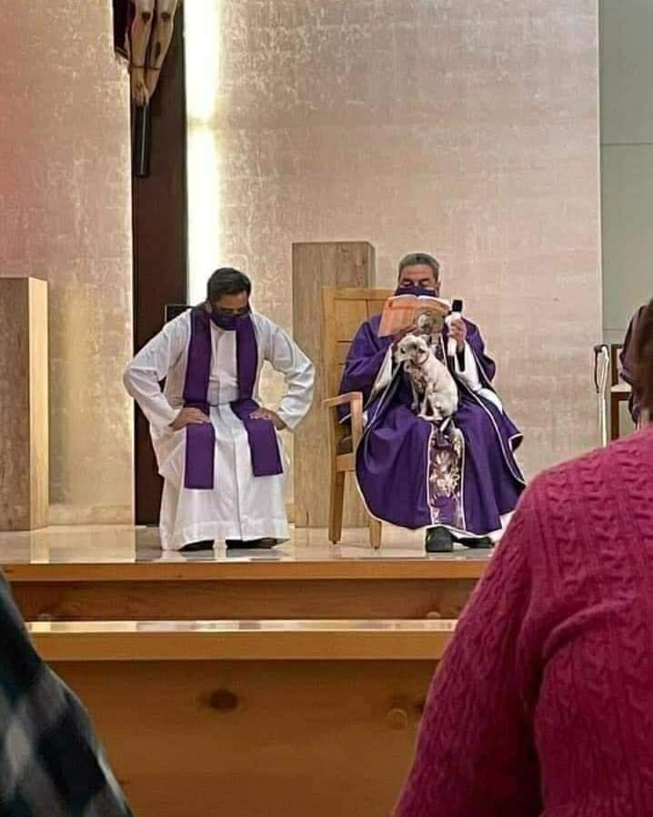 Sucedió en México 🇲🇽
El sacerdote dijo:
"Disculpen pero mi perro ya es muy mayor y se pone muy malito, y llora si lo dejo solo."

Amarás a tu prójimo, como a ti mismo".🐾🙏🕊️💞