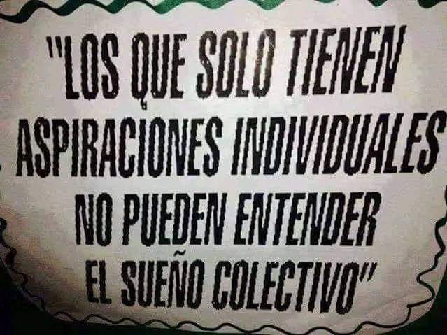 SINALTRAINAL tweet media