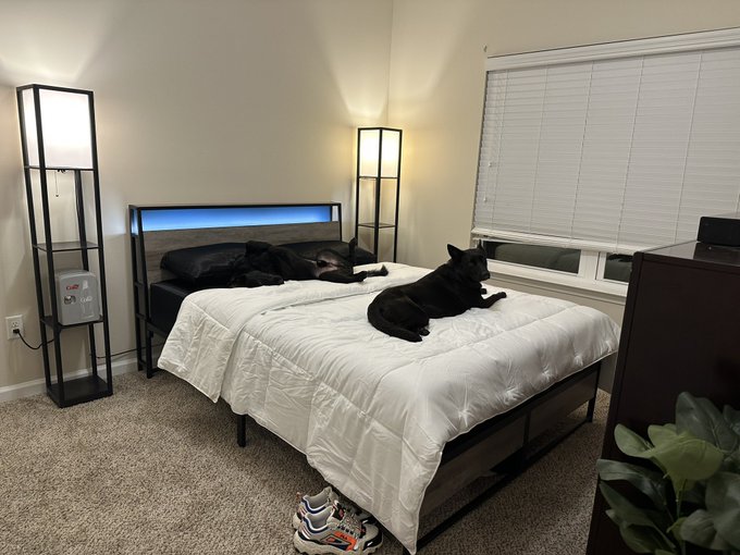 After many months of drama and heartache we finally have a bed of our own and a place to call home ♡