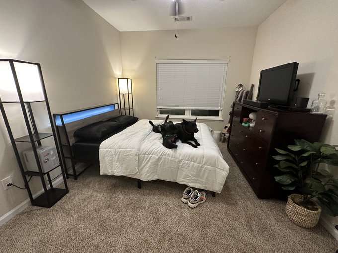 After many months of drama and heartache we finally have a bed of our own and a place to call home ♡