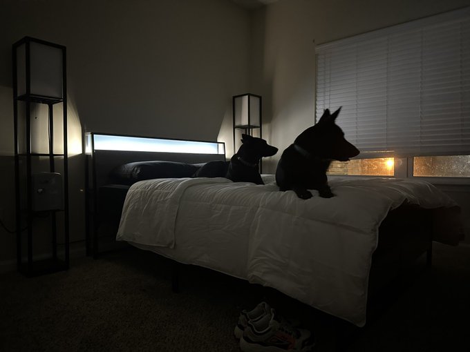 After many months of drama and heartache we finally have a bed of our own and a place to call home ♡