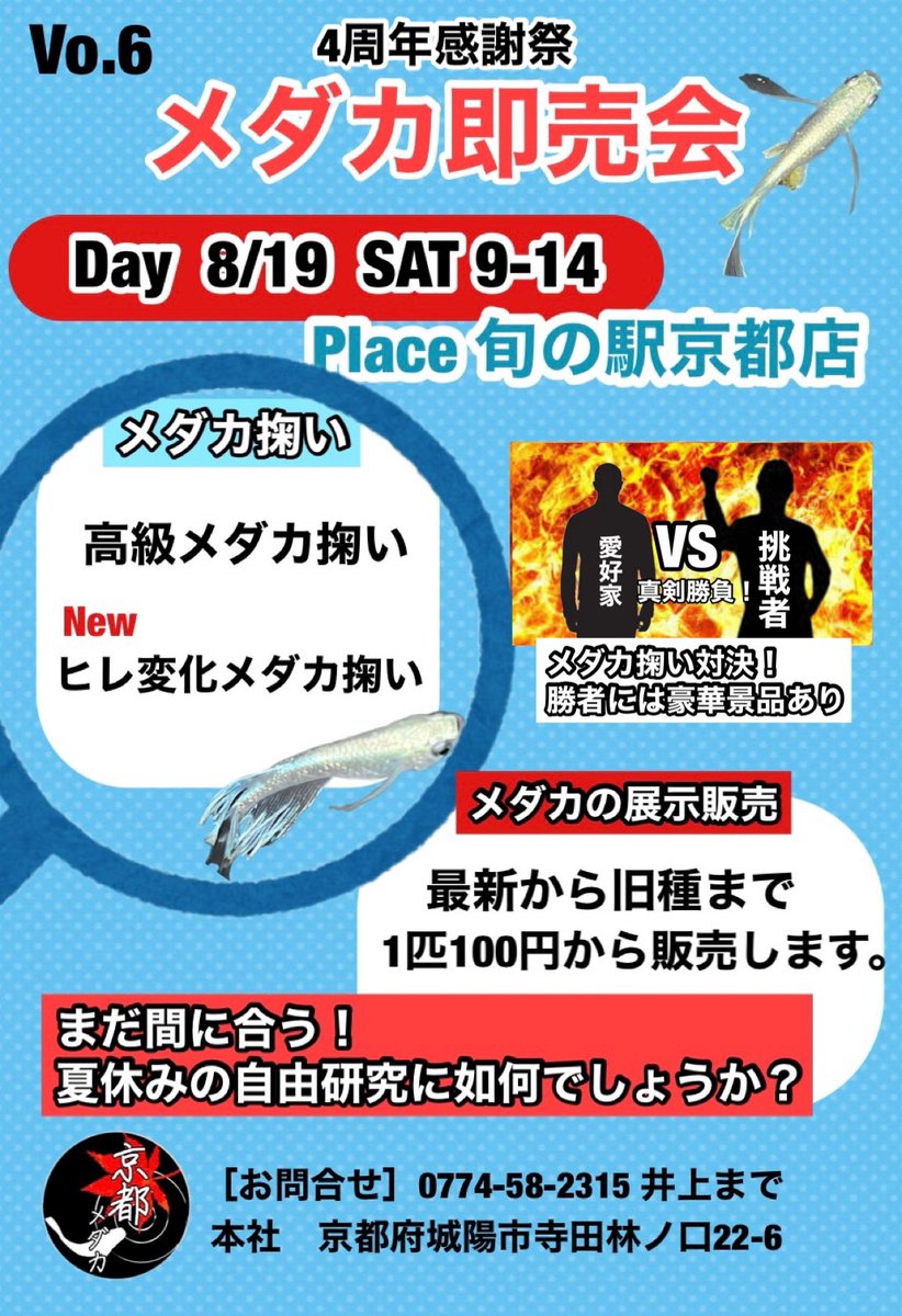 kyoto_medakaof's tweet photo. 第三弾メダカプレゼント企画🎁
今回は　フサフサ百式マリアージュ　若魚2ペアプレゼント🐟致します。

応募方法
フォロー&amp;リツイート

送料は当方負担　一切お金はかかりません

締切は18日23時59分まで
リツイートいただいた方でイベントにお越しくださる方はお声がけでメダカ掬い2匹メダカ増量します https://t.co/sMxEqOrRRE