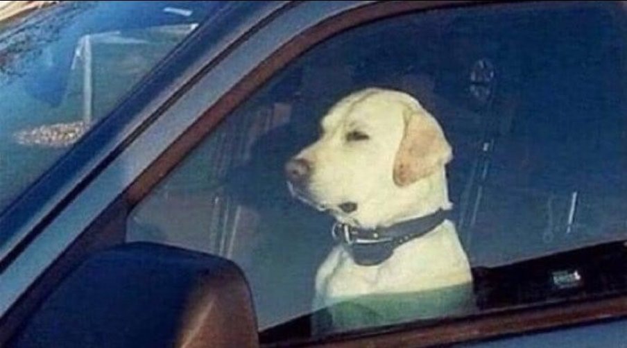 When u accidentally block an intersection and everyone is staring at u