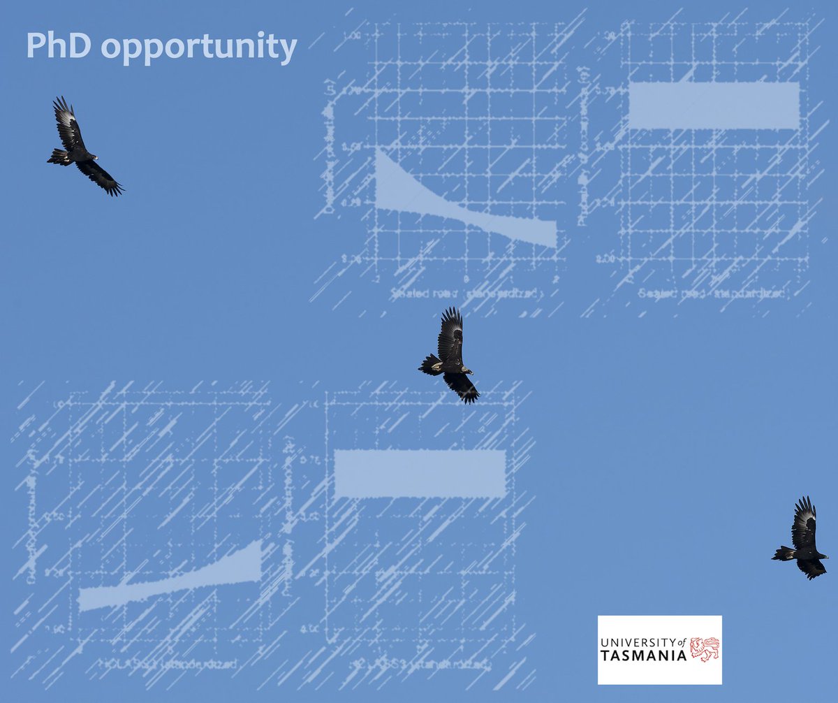 Fantastic PhD opportunity to get to grips with the maths of population monitoring – via Tasmanian wedge-tailed eagles:
utas.edu.au/research/degre…

<a href="/UTAS_/">University of Tasmania</a> <a href="/JamesMPay/">Dr James Pay</a>
#ScienceTwitter #PhD #ecology #maths #threatenedspecies #monitoring #conservationbiology #PhDchat #Tasmania #Australia