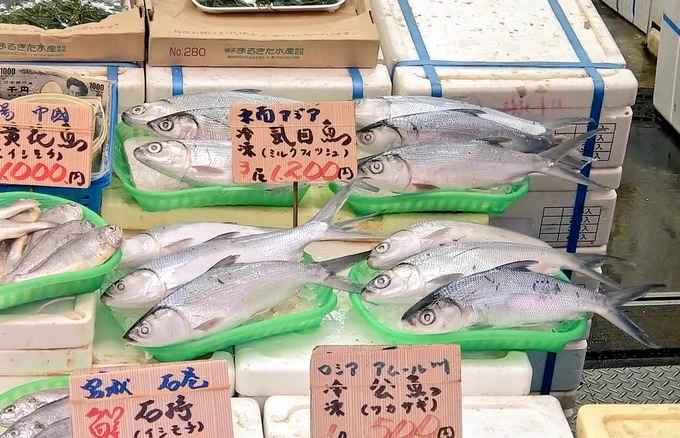 サバヒー売ってたw