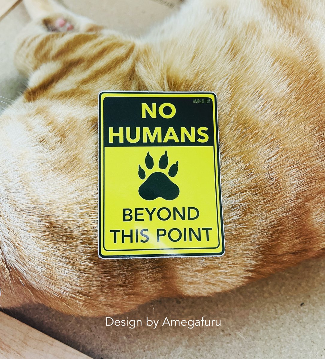 [RT ❤️] my sh0p update is live!

100% of proceeds from ink comms will go to the Maui Humane Society 