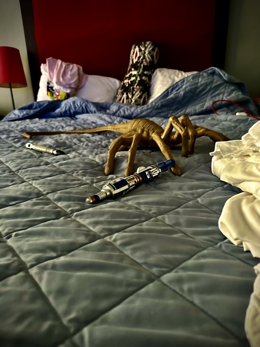 TwiggyMcStmpwzl's tweet photo. Talk About Hotel Room Bed Bugs! #Alien #Aliens #Facehugger #SpaceBugs #Bugs #BedBugs #Humor #SonicScrewDrivers #Cospaly #TwiggyMcStumpWizzle
😱😂😱 https://t.co/ye9oSyPNXw