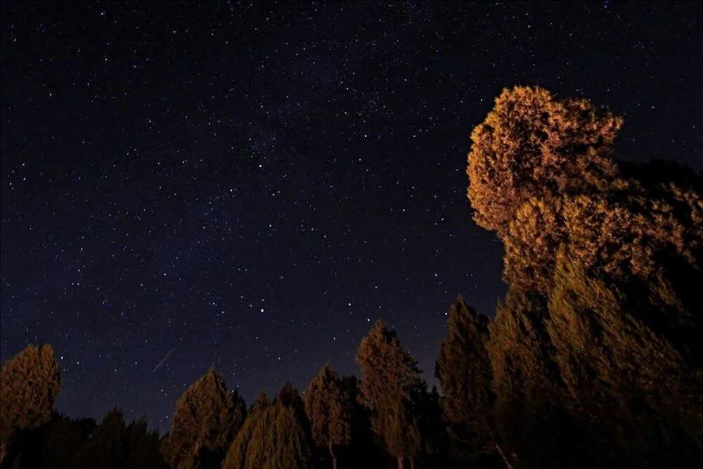 ✨Gökyüzü tutkunları, yılın en etkileyici doğa olaylarından biri olarak gösterilen Perseid Meteor Yağmurunu izlemek için #AtatürkÜniversitesinde bir araya geldi.

🔵Haberin devamı için⤵️ 
👉atauni.edu.tr/perseid-meteor… 

@rektorcomakli #Erzurum #BirÜniversitedenDahaFazlası