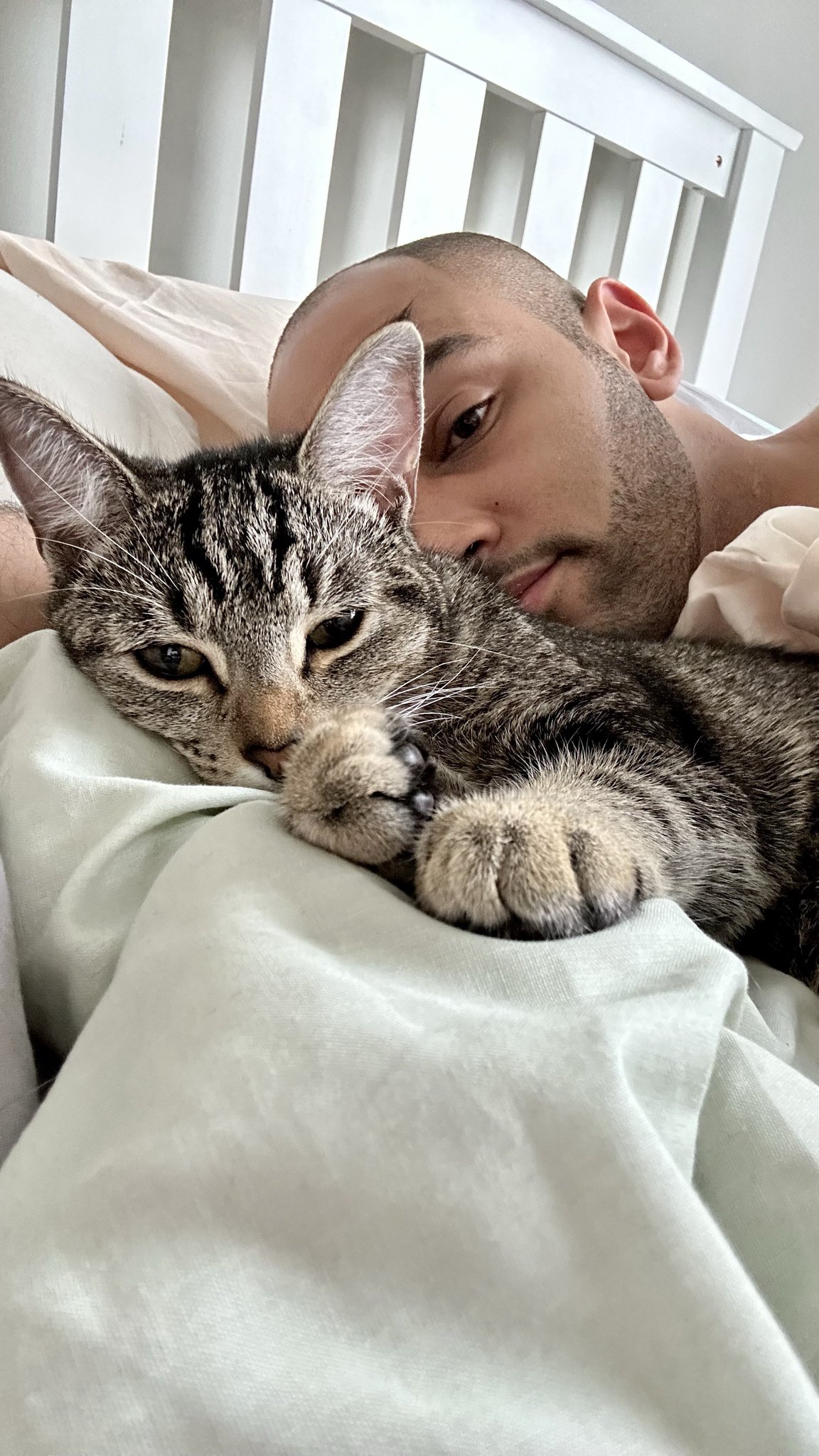 F3e0MkKXcAECeK3.jpg:large