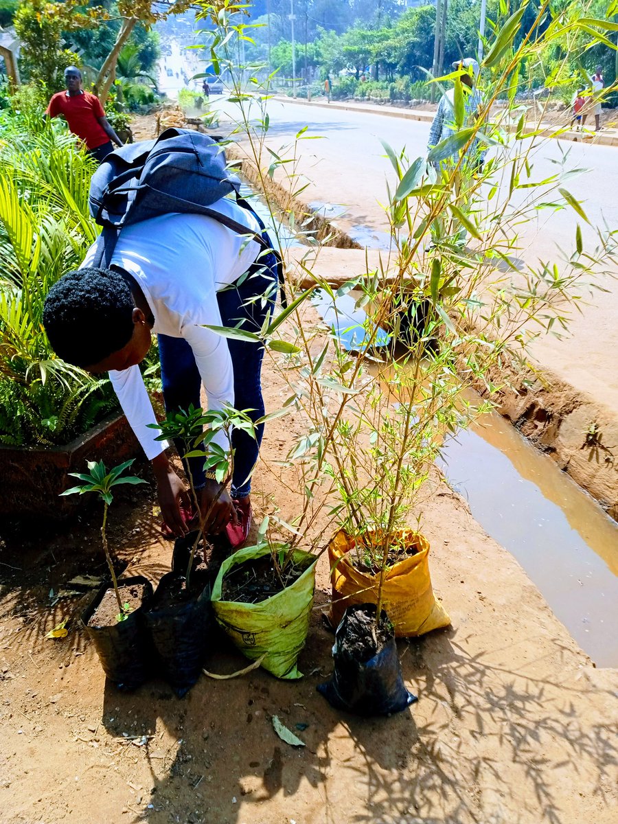 xuagah's tweet photo. The theme green skills for youth starts with Mindset and attitude change to realize a sustainable world. And conversations should be on climate change, food security and sexual reproductive health to better manage the crisis. @CIDIUganda @NYAP_Uganda @NgaboYouth  @PlanUganda https://t.co/j9HkN68pUN