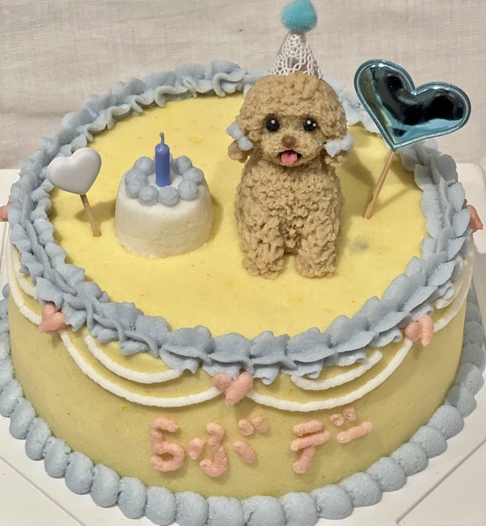 omi_o313's tweet photo. らぶちゃん🐶🐾🍀💕

今日は 
らぶちゃん1歳の誕生日🎂🎉
毎日楽しくて幸せな1年になりますよぅに〜🤗💓

ママ達の所に来てくれてありがとう〜ママは らぶちゃんのおかげで毎日楽しくて癒されて幸せです💕 らぶちゃんは どうかな〜??
ママ達の所に来て幸せって思ってくれてたらいいなぁ〜🍀💕 https://t.co/5ZXRmJakjw