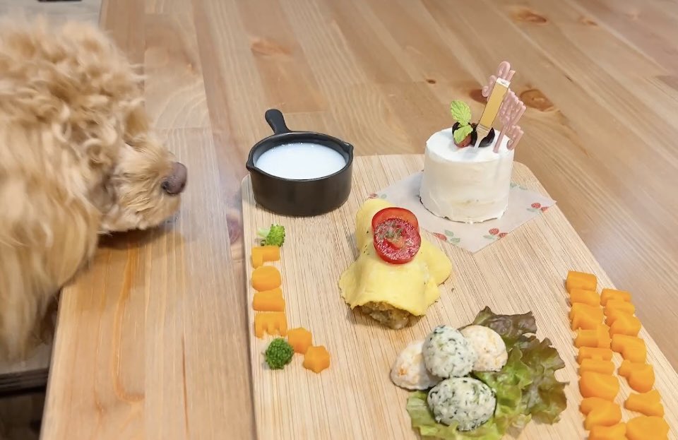 omi_o313's tweet photo. らぶちゃん🐶🐾🍀💕

今日は 
らぶちゃん1歳の誕生日🎂🎉
毎日楽しくて幸せな1年になりますよぅに〜🤗💓

ママ達の所に来てくれてありがとう〜ママは らぶちゃんのおかげで毎日楽しくて癒されて幸せです💕 らぶちゃんは どうかな〜??
ママ達の所に来て幸せって思ってくれてたらいいなぁ〜🍀💕 https://t.co/5ZXRmJakjw