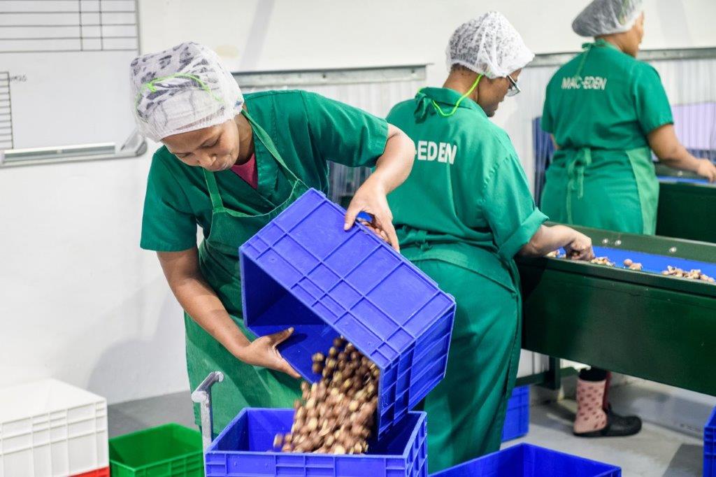 infosouthcoast's tweet photo. Exciting news from the #kznsouthcoast! Did you know that the #localfarmers here are exploring new horizons in the #crop #exportmarket? Join us in seizing this untapped potential contact #sctie to learn more & visit: https://t.co/EpVjGwxPFJ #uncoverpotential #uncoverkznsouthcoast https://t.co/05PBMhdpxQ