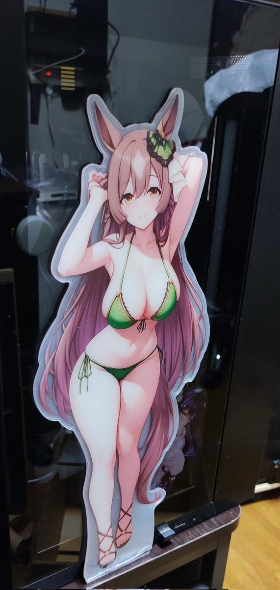 PCのフロントパネル占領できるわ🤣 