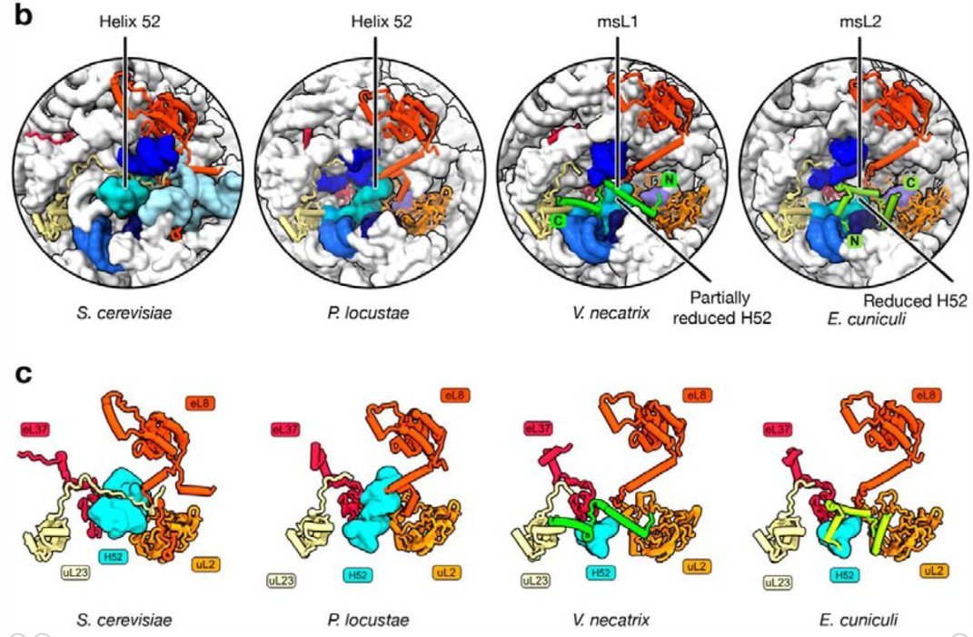 Diego del Alamo tweet media